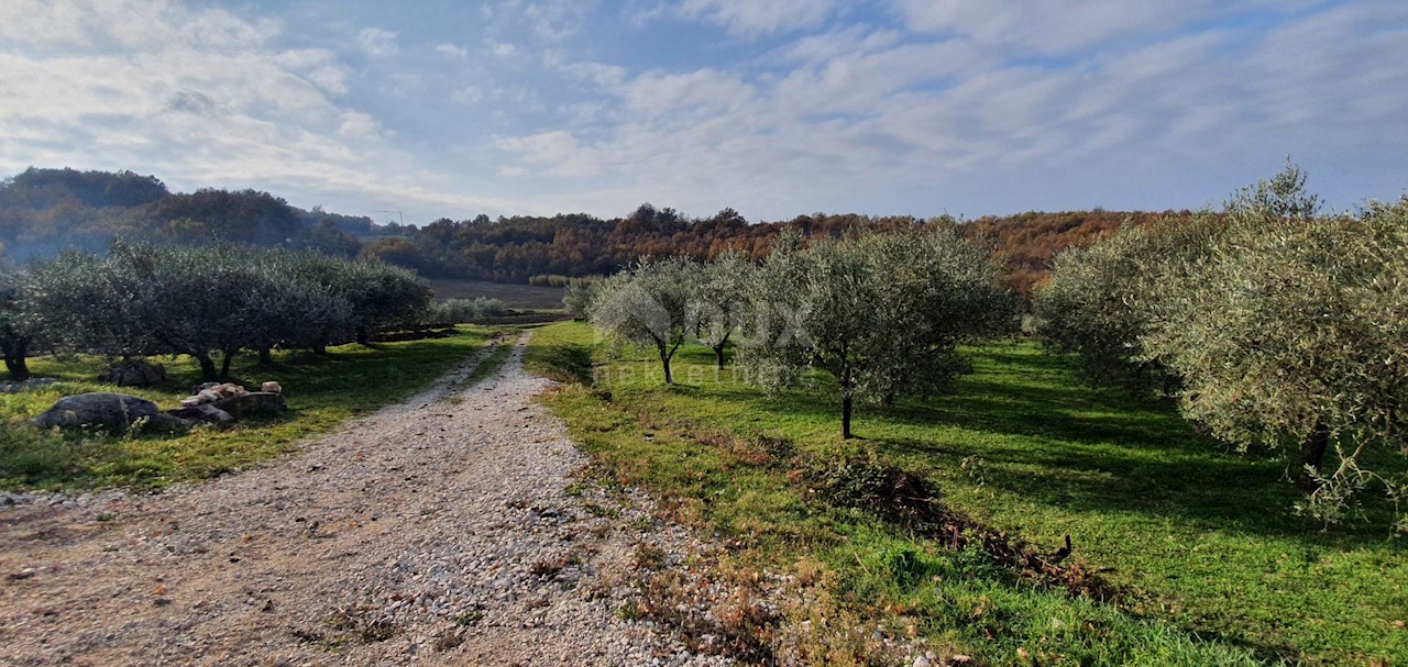 Terreno Vižinada, 5.261m2