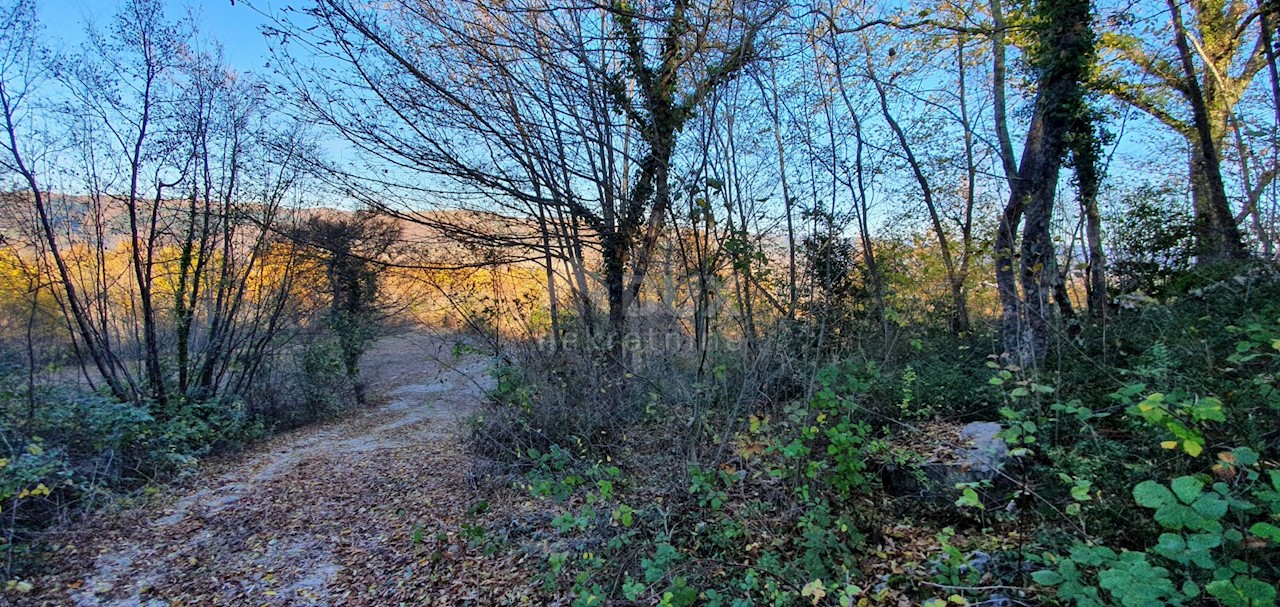 Terreno Vižinada, 5.261m2