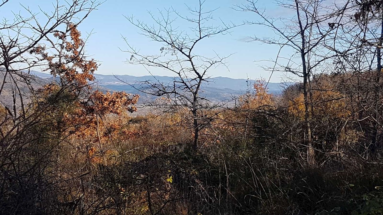 Terreno Vižinada, 5.261m2