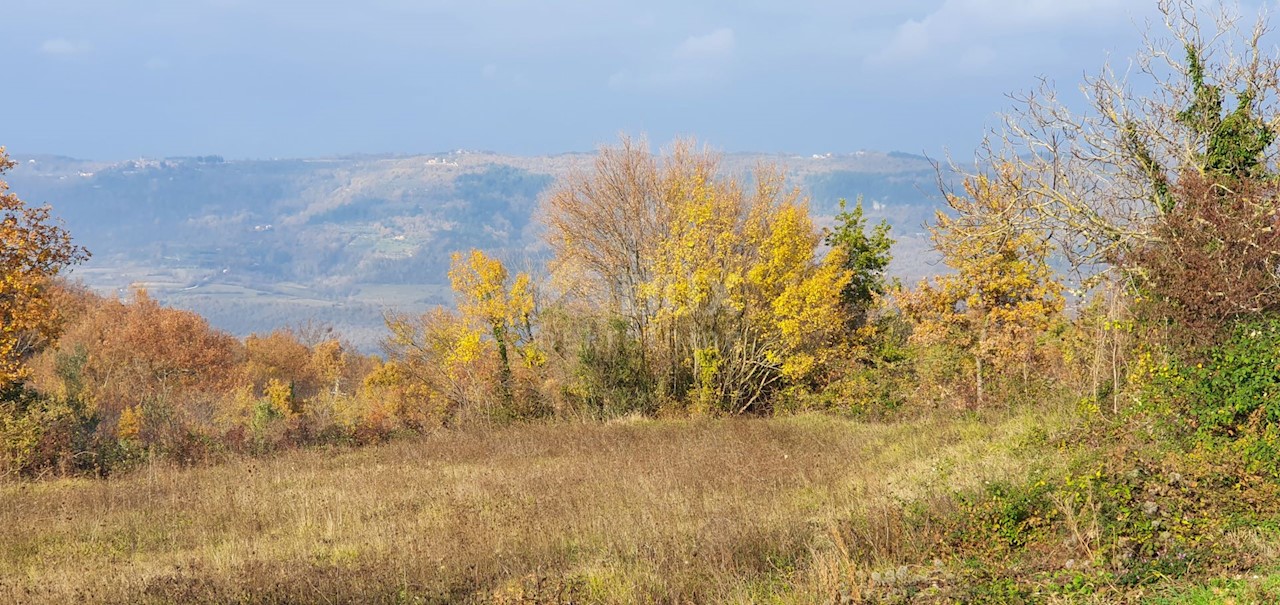 Terreno Vižinada, 5.261m2