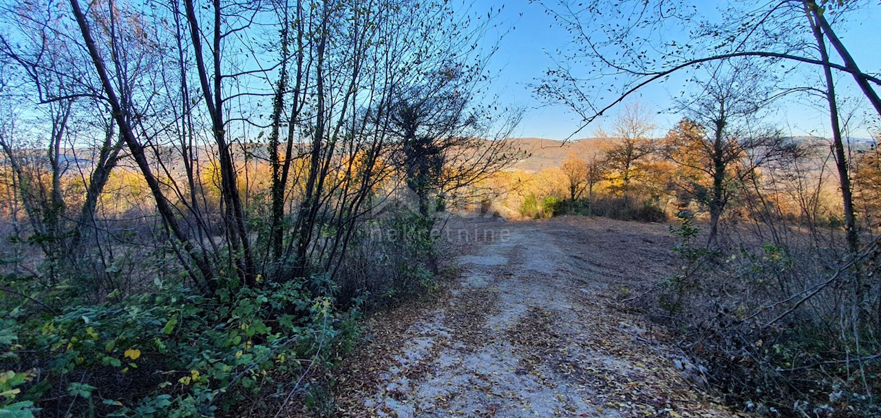 Terreno Vižinada, 5.261m2