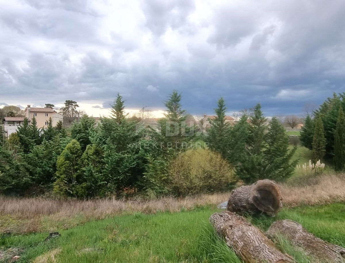 ISTRIA, POREČ, dintorni - Nuova casa con piscina su ampio giardino, OPPORTUNITÀ !!!