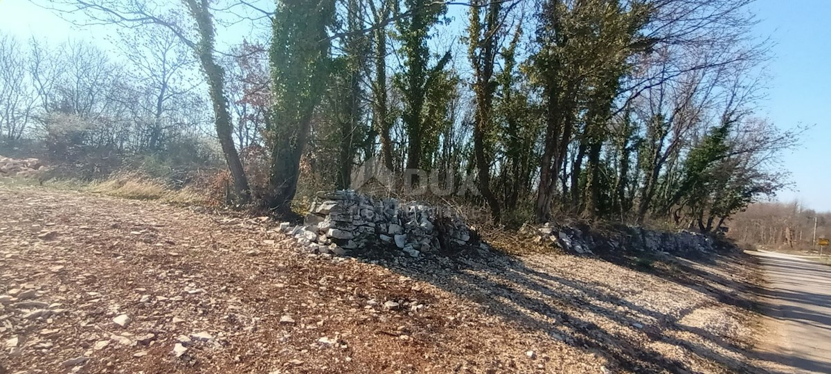 Terreno Kringa, Tinjan, 1.554m2