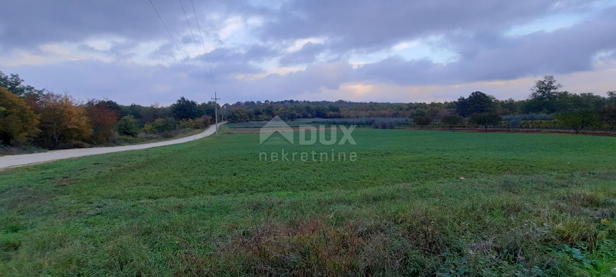 Terreno Žbandaj, Poreč, 11.530m2