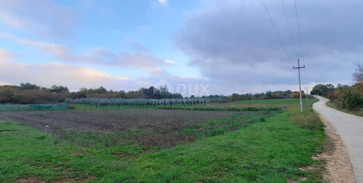 Terreno Žbandaj, Poreč, 11.530m2