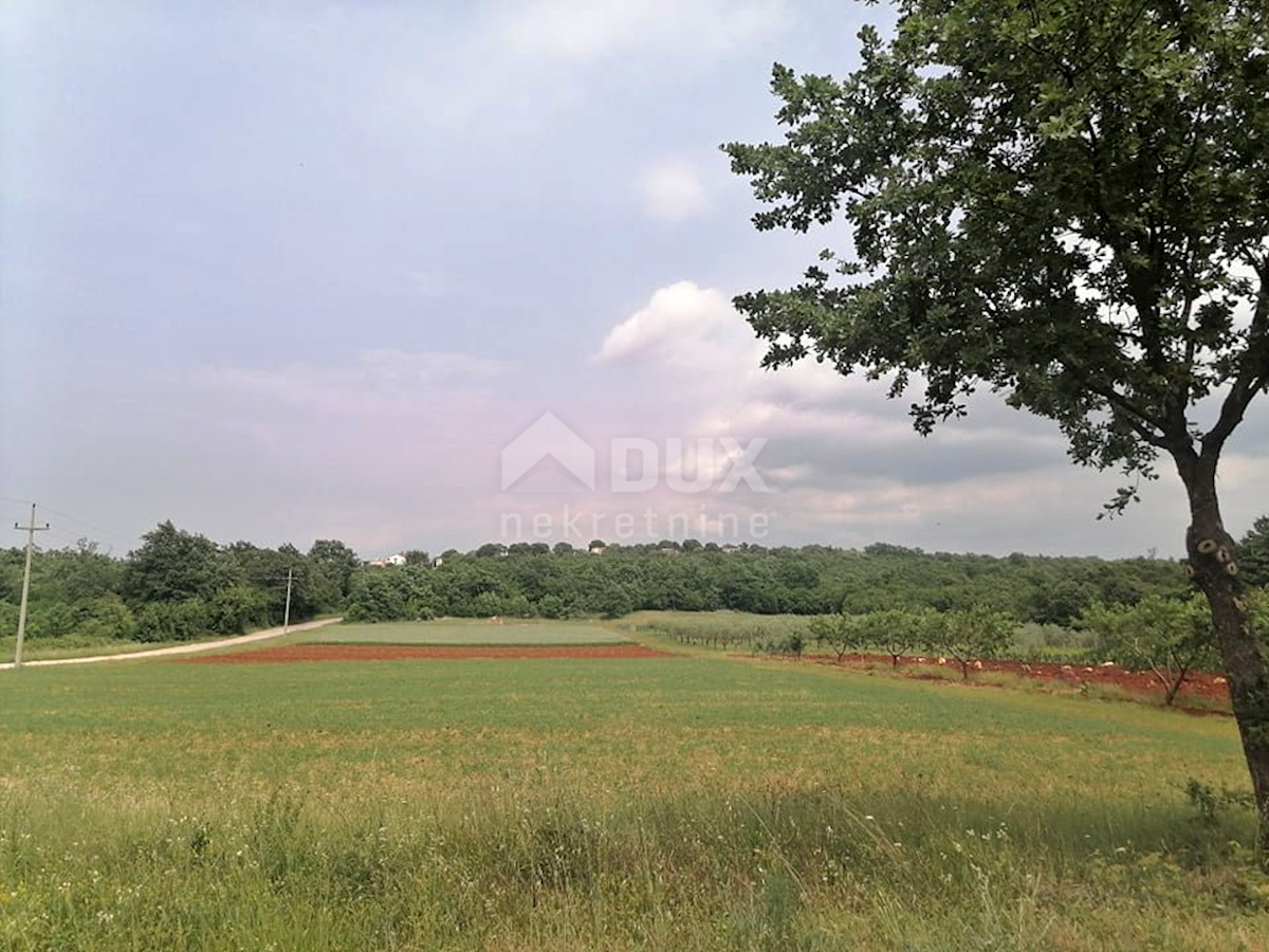 Terreno Žbandaj, Poreč, 11.530m2