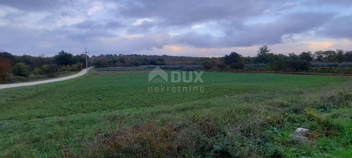 Terreno Žbandaj, Poreč, 11.530m2