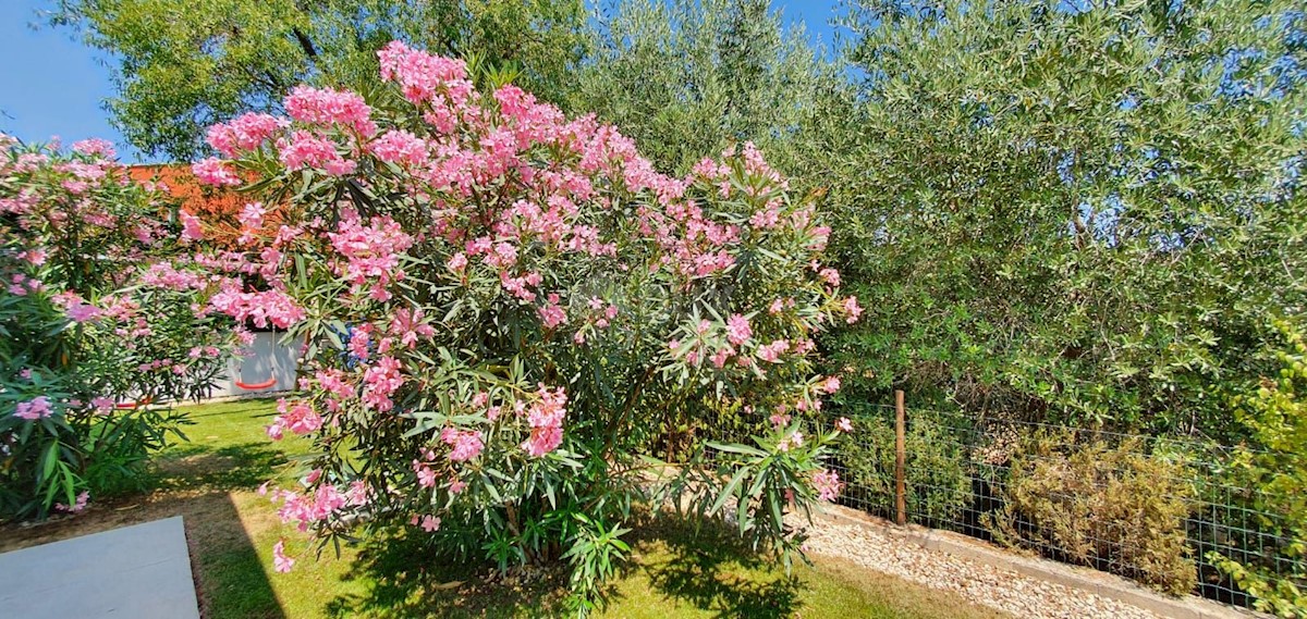 ISTRIA, ŠIŠAN - Nuova villa moderna con piscina