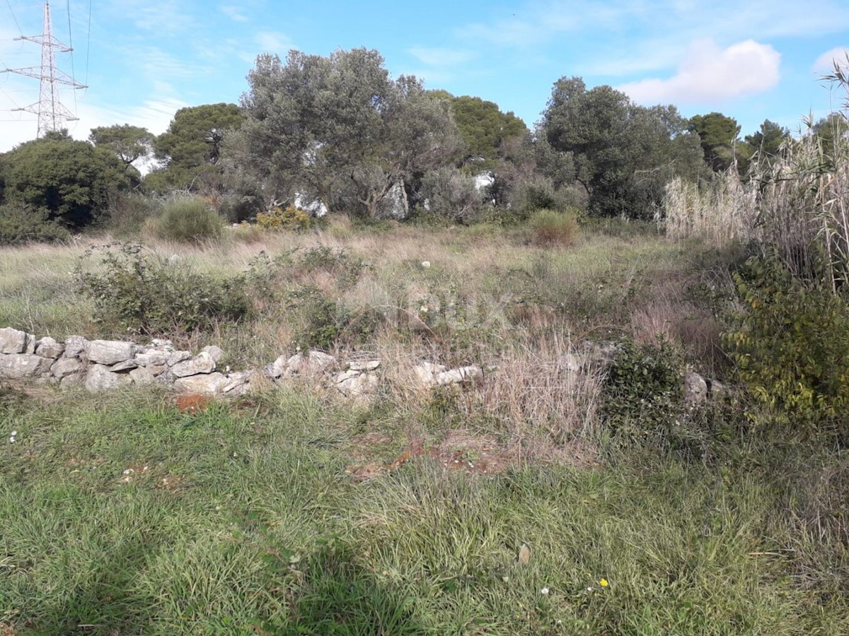 ISTRIA, POLA - Terreno edificabile