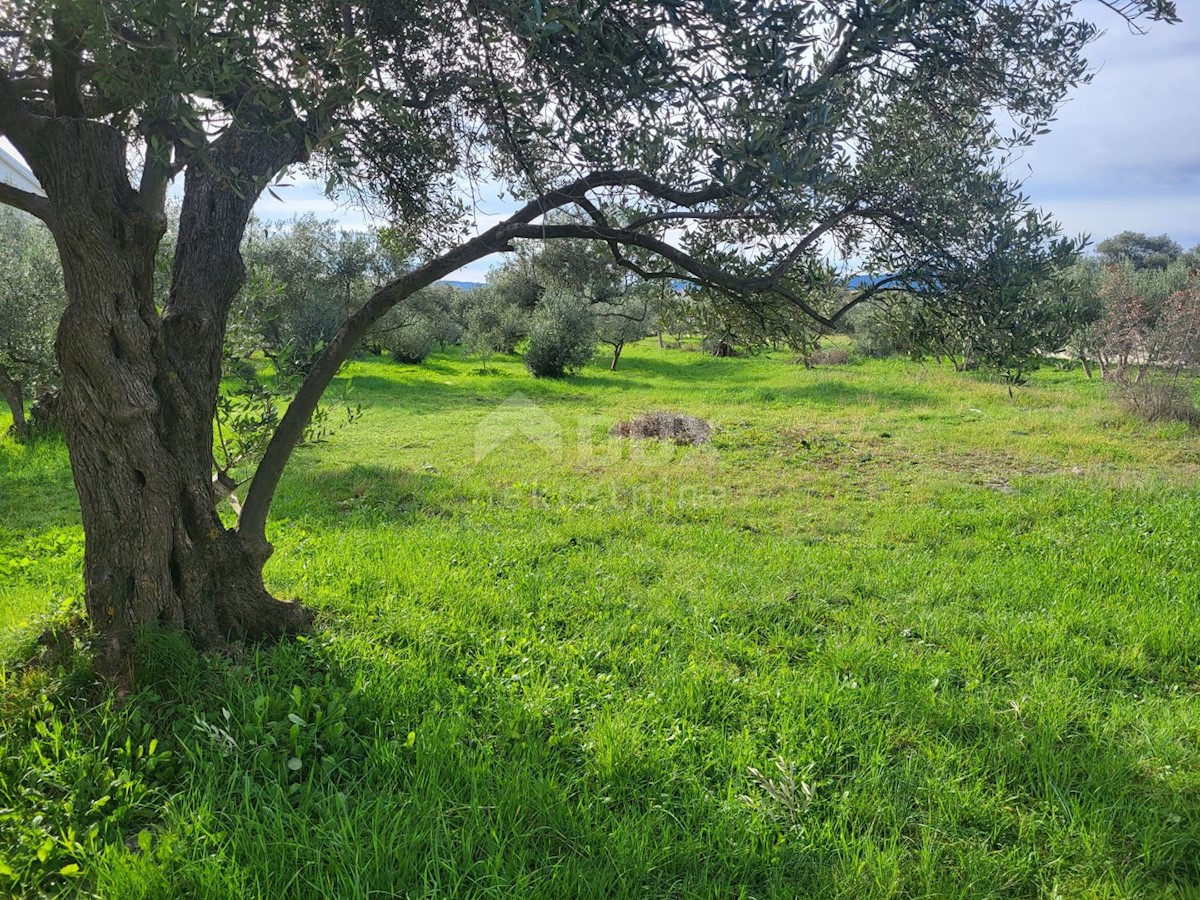 Terreno Bibinje, 1.380m2