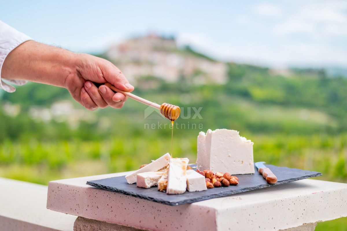 ISTRIA, MOTOVUN - Locale commerciale in una posizione unica e con un'offerta unica in Istria