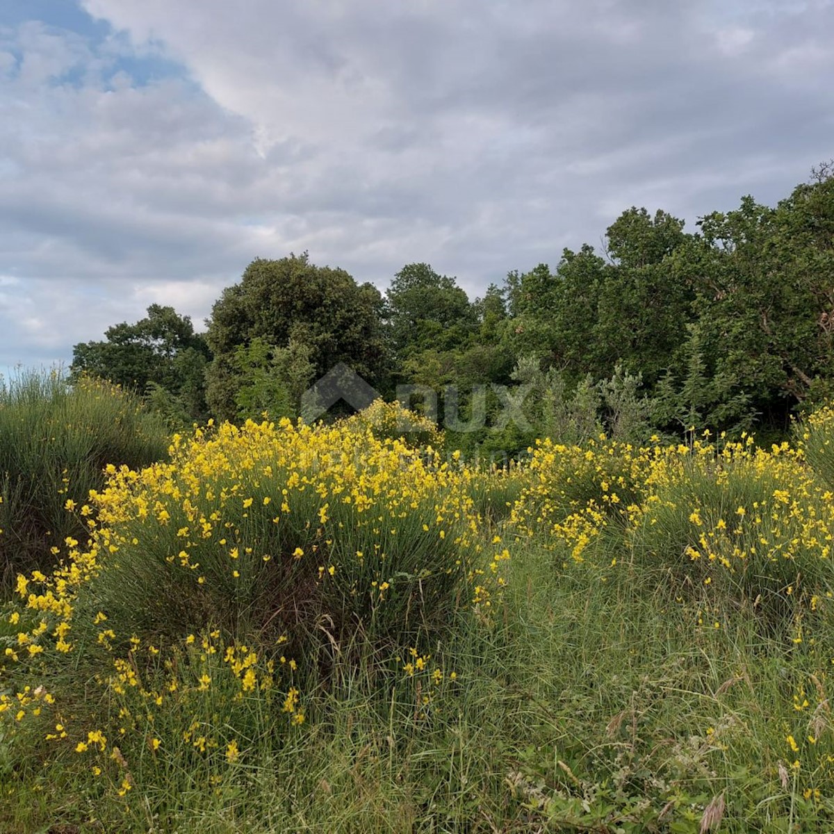 Terreno Rovinj, 15.966m2