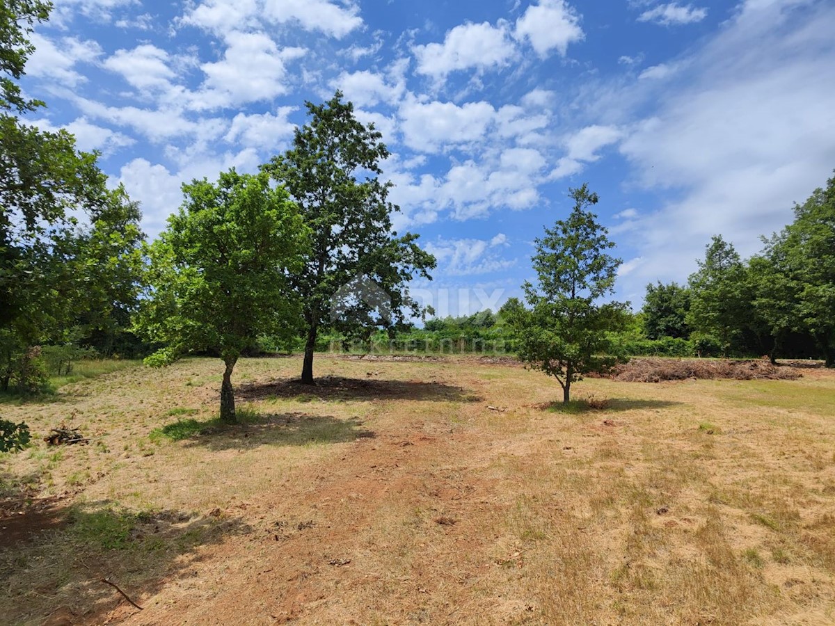 Terreno Barban, 5.448m2