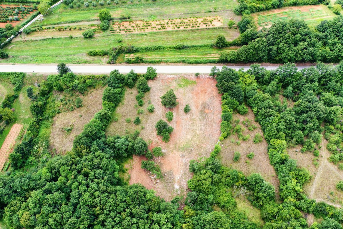 Terreno Barban, 5.448m2
