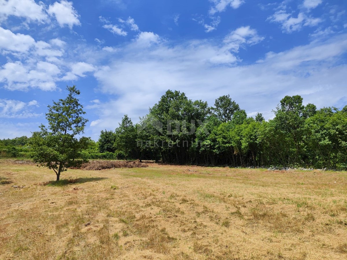 Terreno Barban, 5.448m2