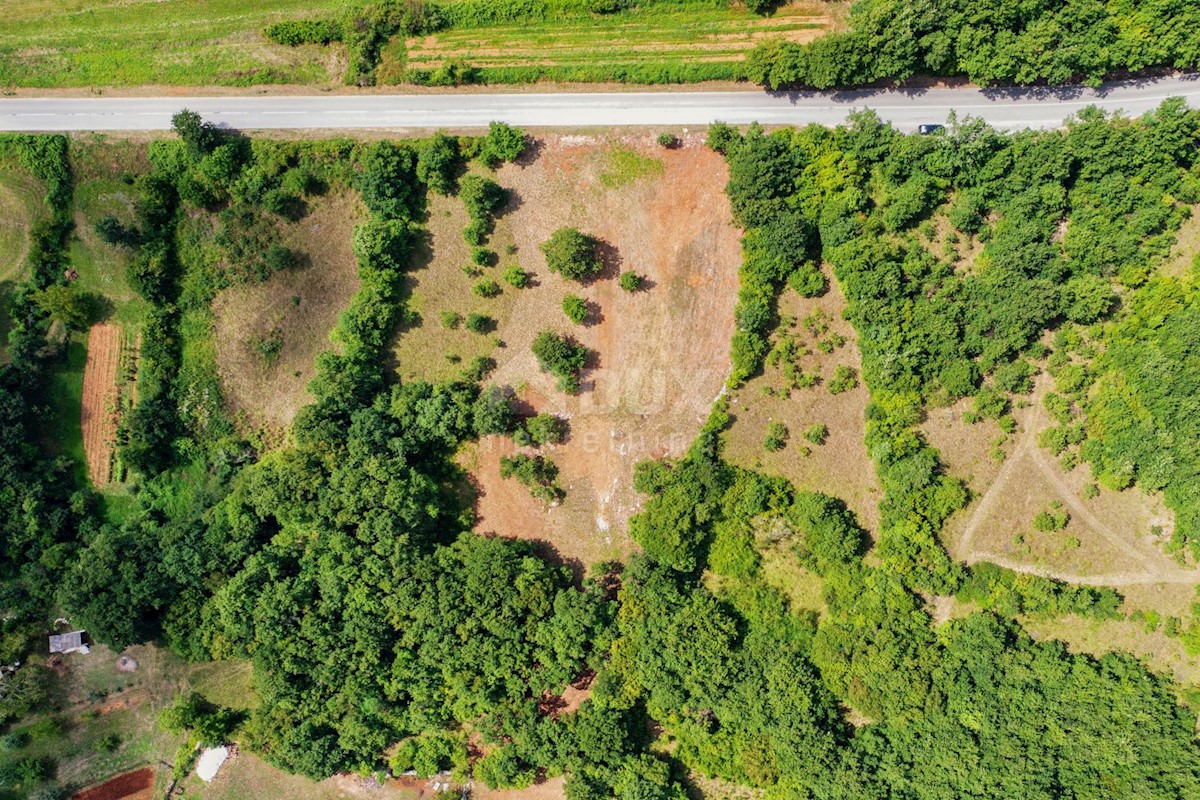 Terreno Barban, 5.448m2
