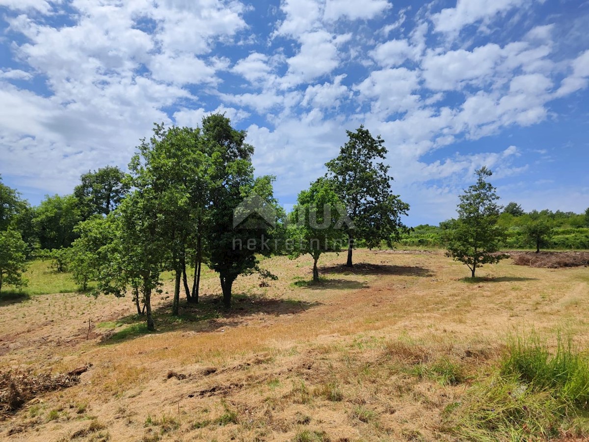 Terreno Barban, 5.448m2