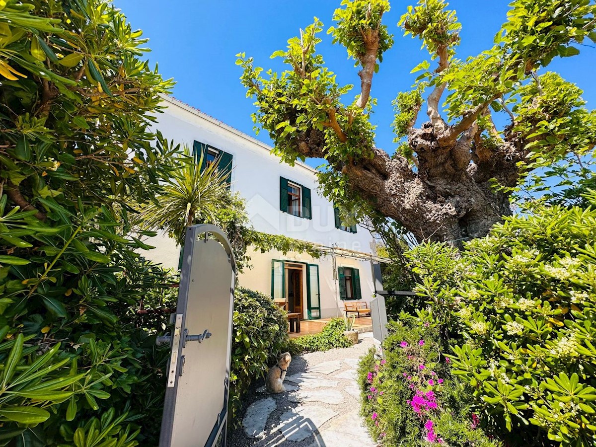 ISOLA DI KRK, ŠILO - Villa in pietra a 30 metri dal mare
