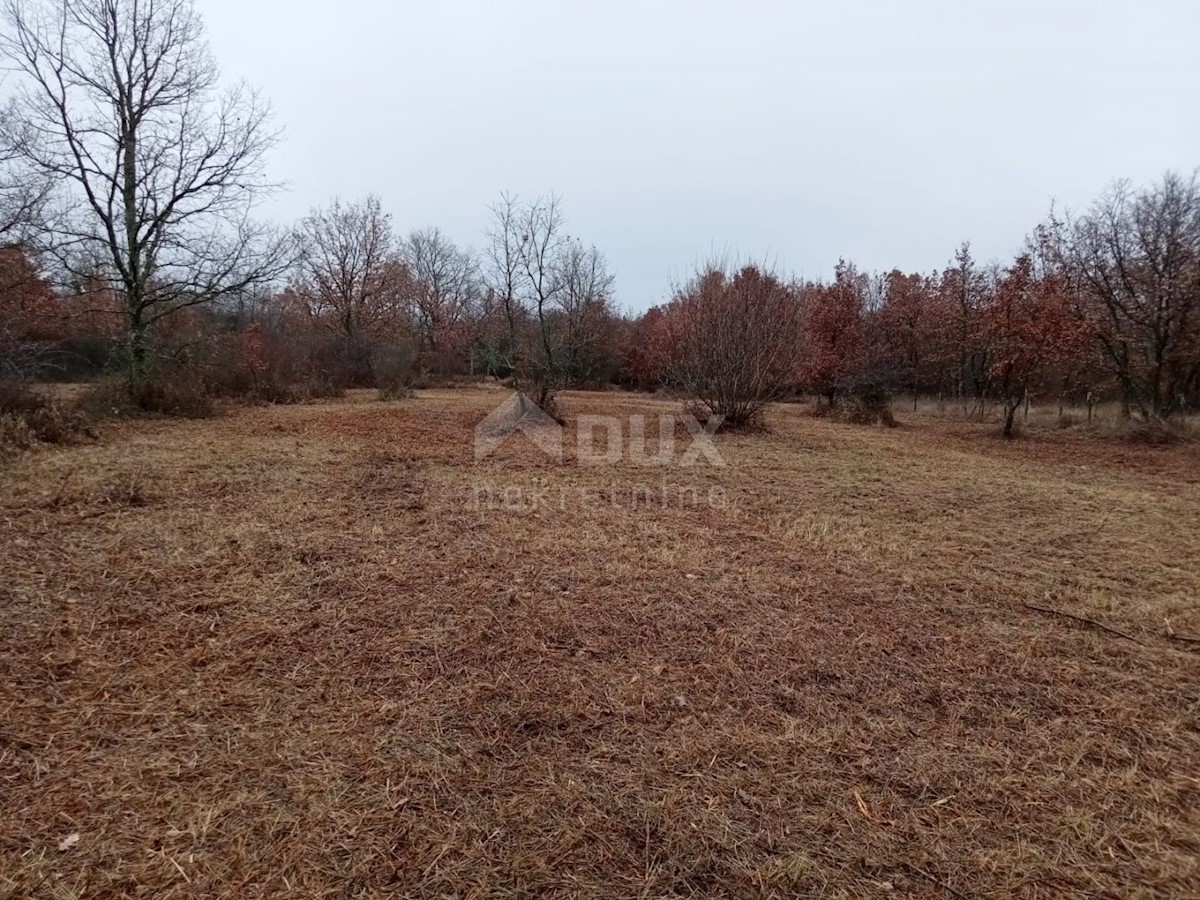 Terreno Bačva, Višnjan, 1.340m2