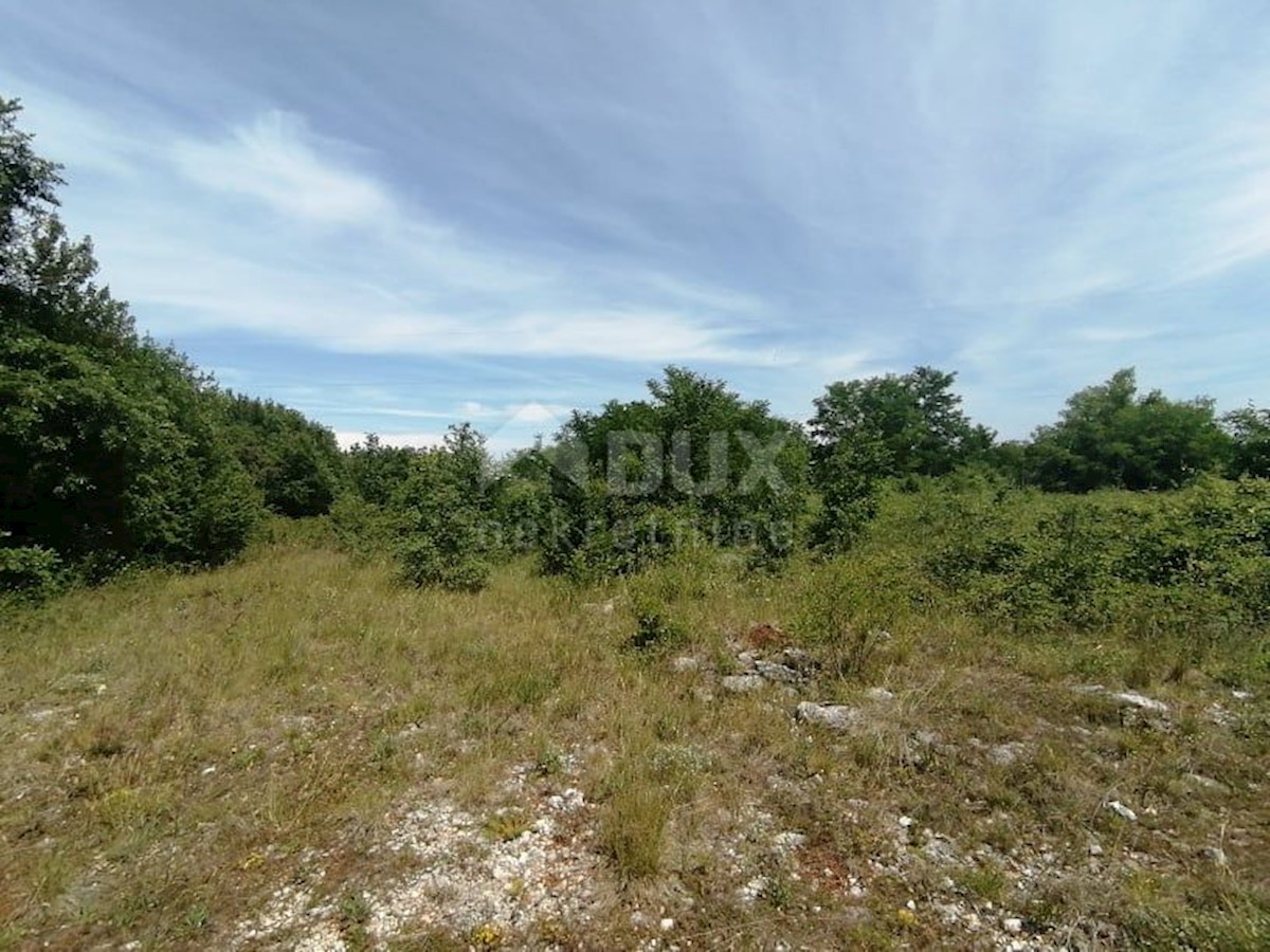 Terreno Nedešćina, Sveta Nedelja, 10.000m2