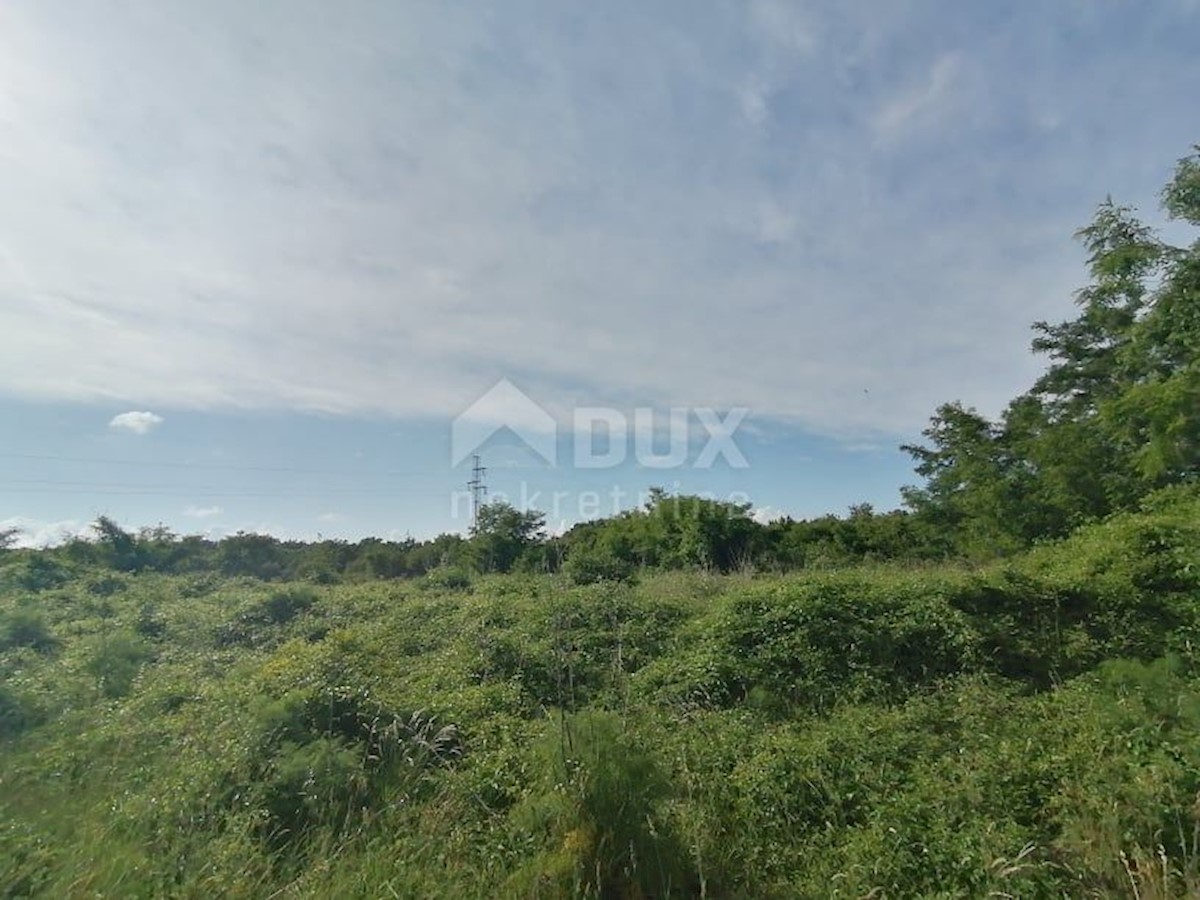 Terreno Nedešćina, Sveta Nedelja, 10.000m2