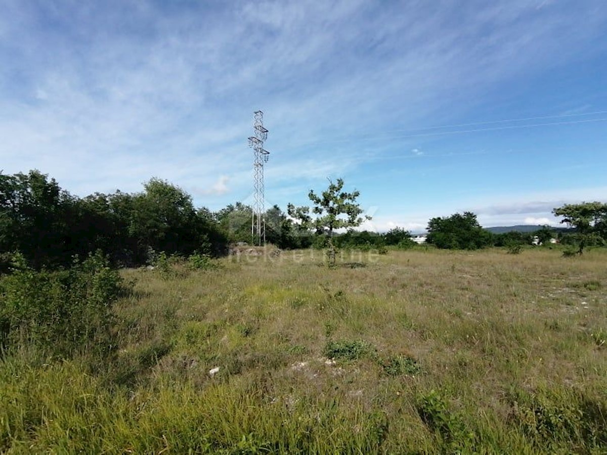Terreno Nedešćina, Sveta Nedelja, 10.000m2