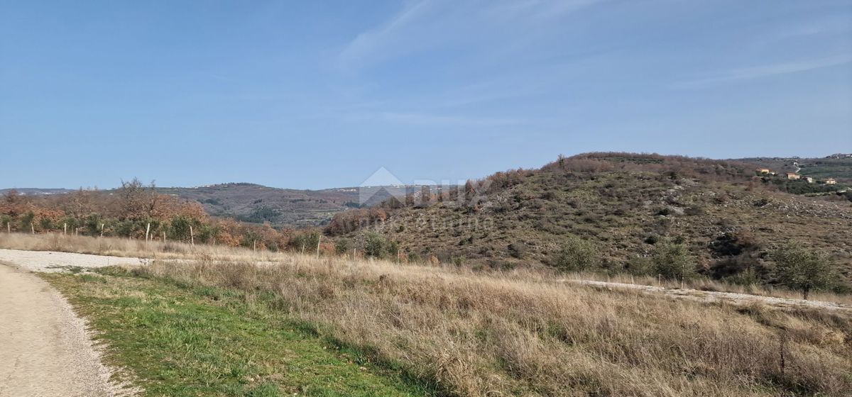 ISTRIA, BUJE - Casa bifamiliare con piscina, nuova costruzione, vista sulla natura