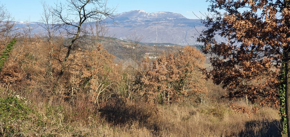 ISTRIA, ALBONA - Opportunità! Terreno edificabile (2200m2), bella vista aperta