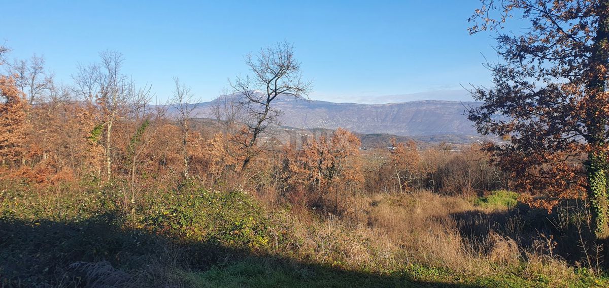 ISTRIA, ALBONA - Opportunità! Terreno edificabile (2200m2), bella vista aperta