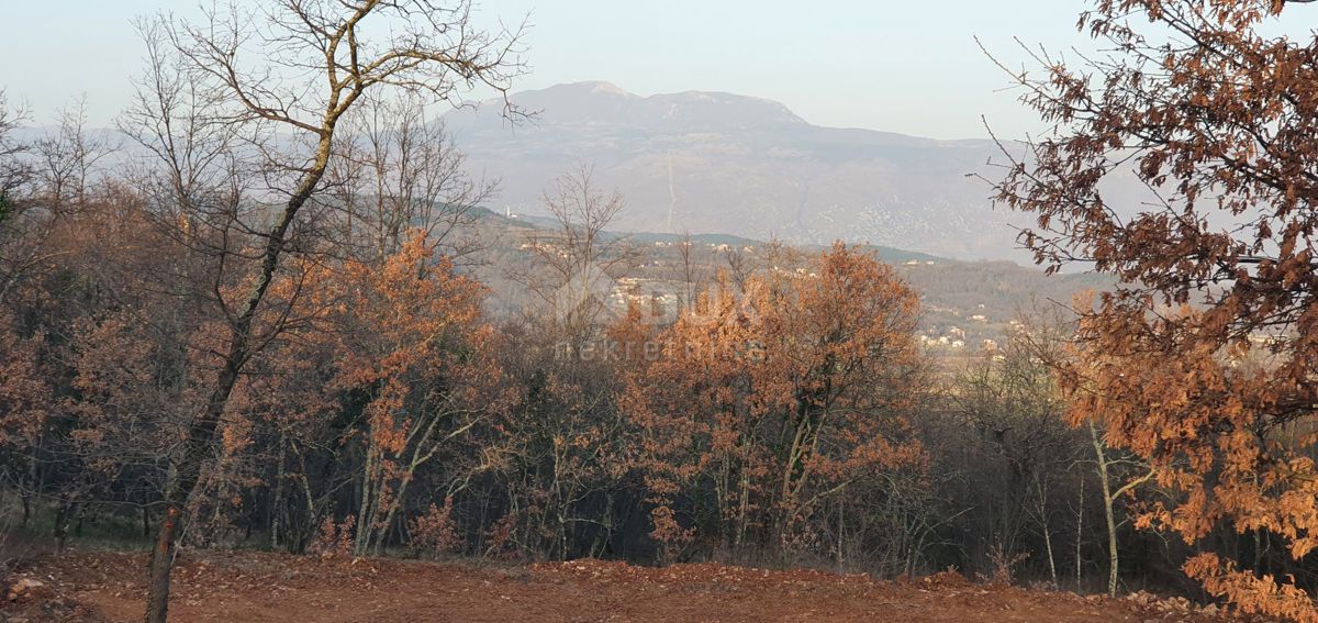 ISTRIA, ALBONA - Opportunità! Terreno edificabile (2200m2), bella vista aperta