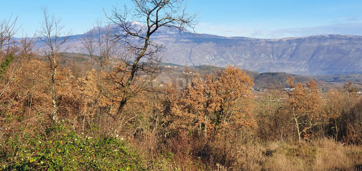 ISTRIA, ALBONA - Opportunità! Terreno edificabile (2200m2), bella vista aperta