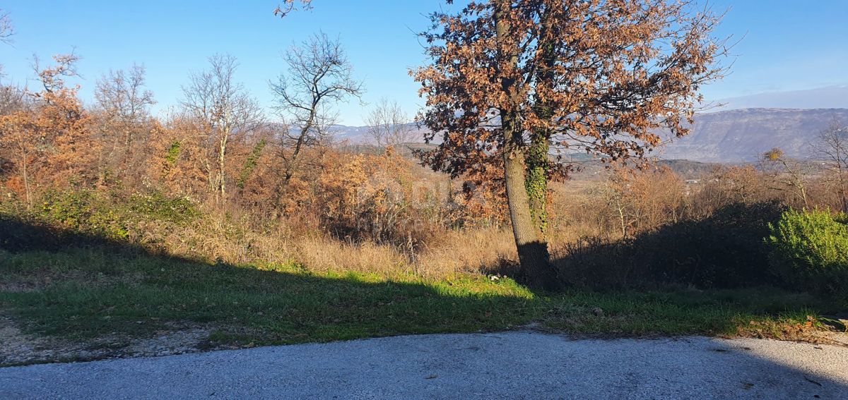 ISTRIA, ALBONA - Opportunità! Terreno edificabile (2200m2), bella vista aperta