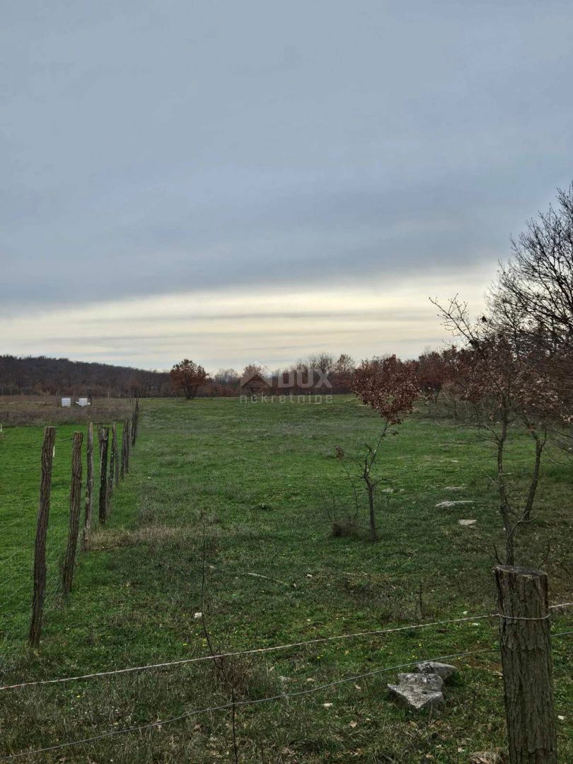 Terreno Dračevac, Poreč, 17.415m2