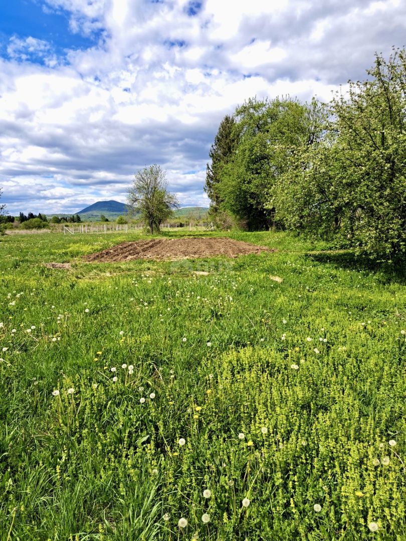 PLAŠKI, JANJA GORA - Tenuta 