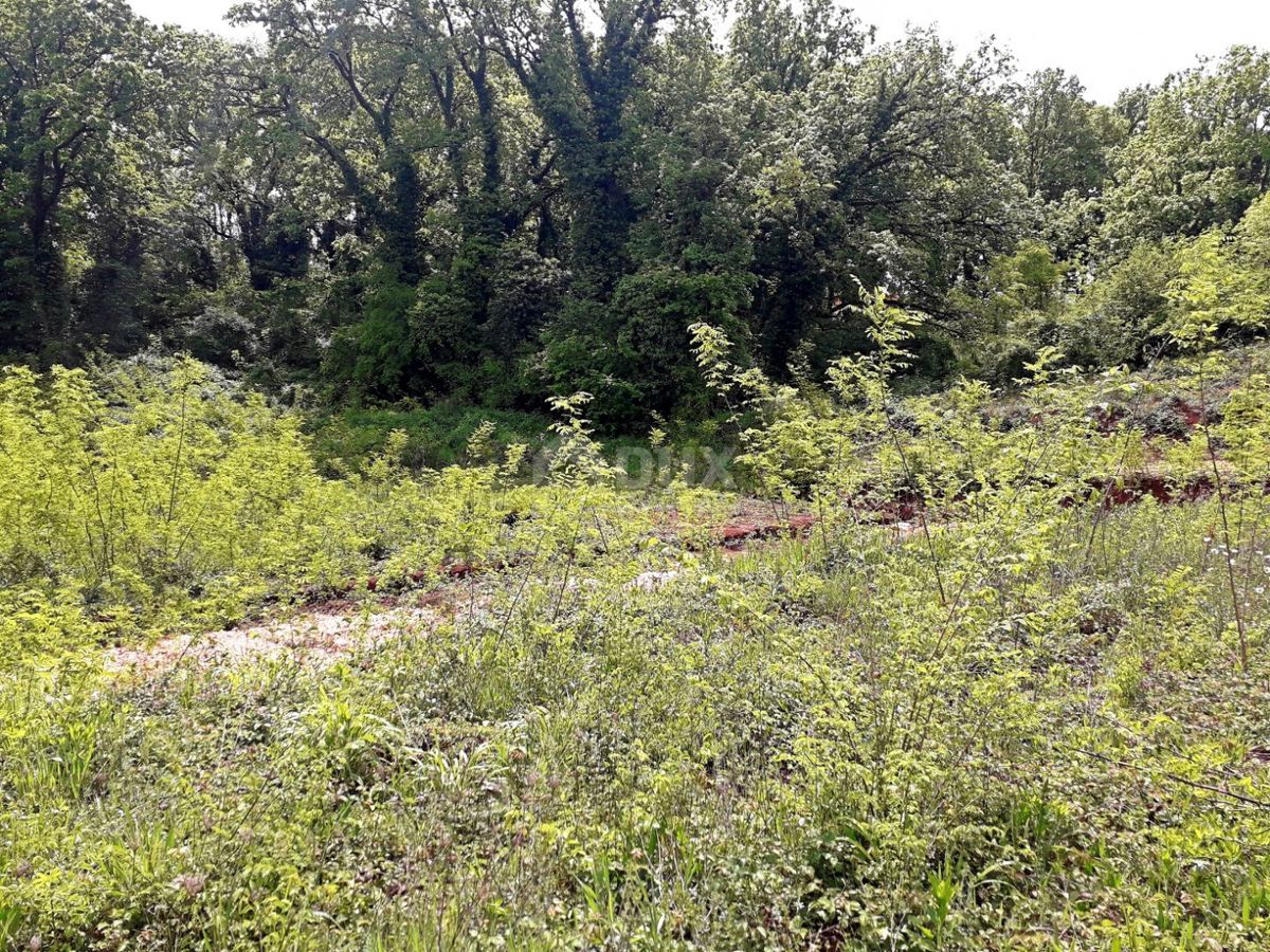 ISTRIA, LABIN - Ampio terreno con permesso di costruire