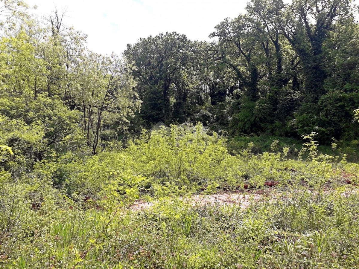 ISTRIA, LABIN - Ampio terreno con permesso di costruire