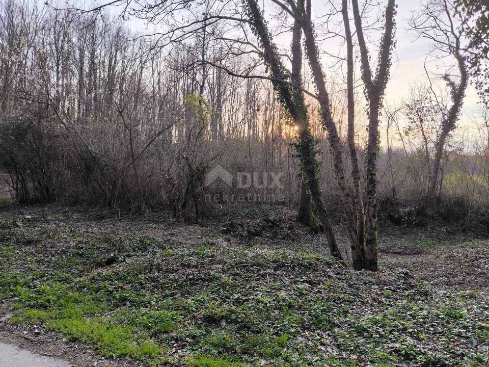 ISTRIA, PAZIN - Terreno edificabile in un insediamento tranquillo