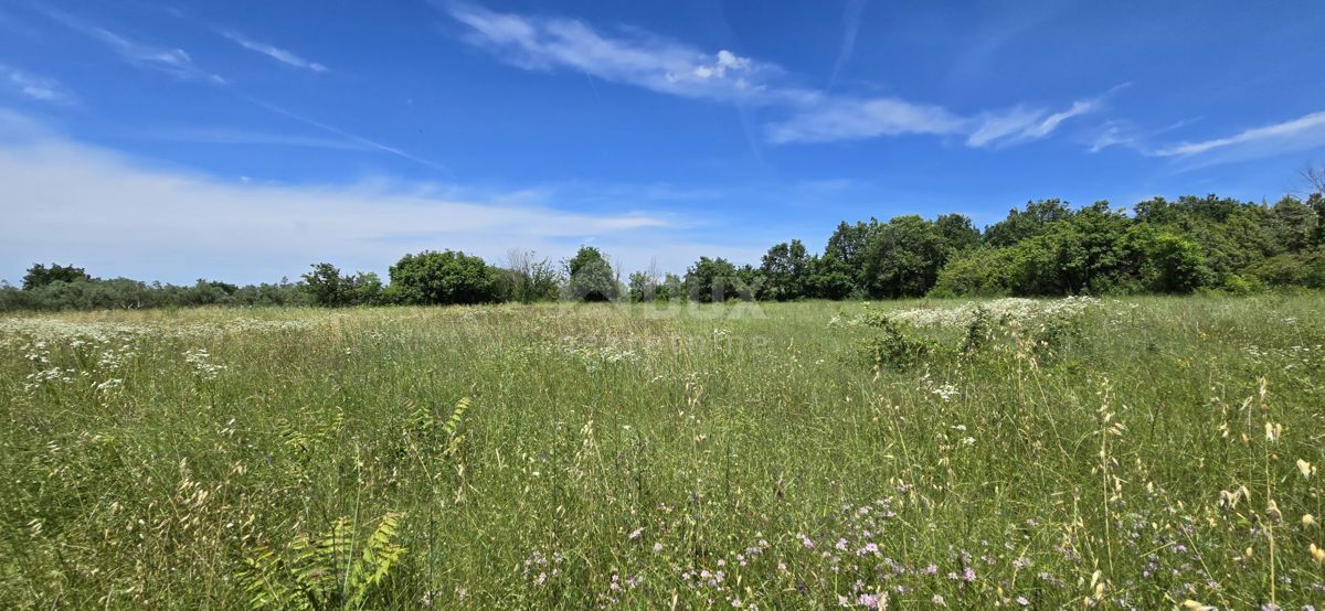 Terreno Svetvinčenat, 1.152m2