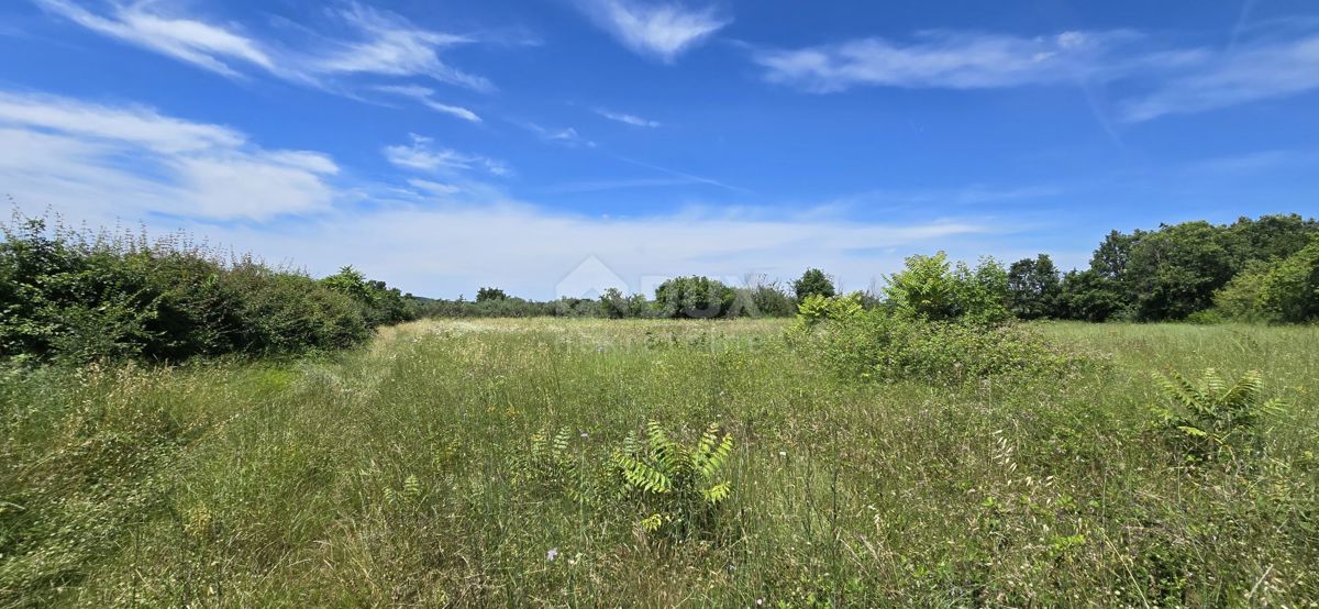 Terreno Svetvinčenat, 1.152m2