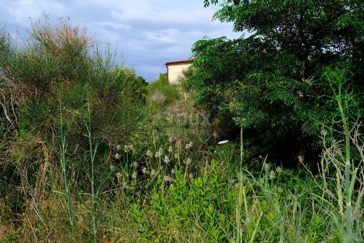 ZADAR, VIR - Terreno edificabile vicino alla spiaggia sull'isola di Vir