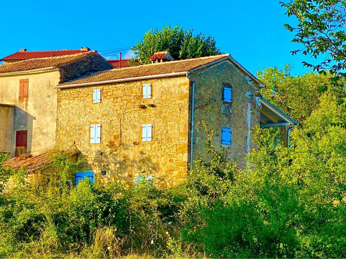 ISTRIA, DRAGUĆ - due case + 3.265 m2 di terreno edificabile con 6 case progettate! OPPORTUNITÀ!