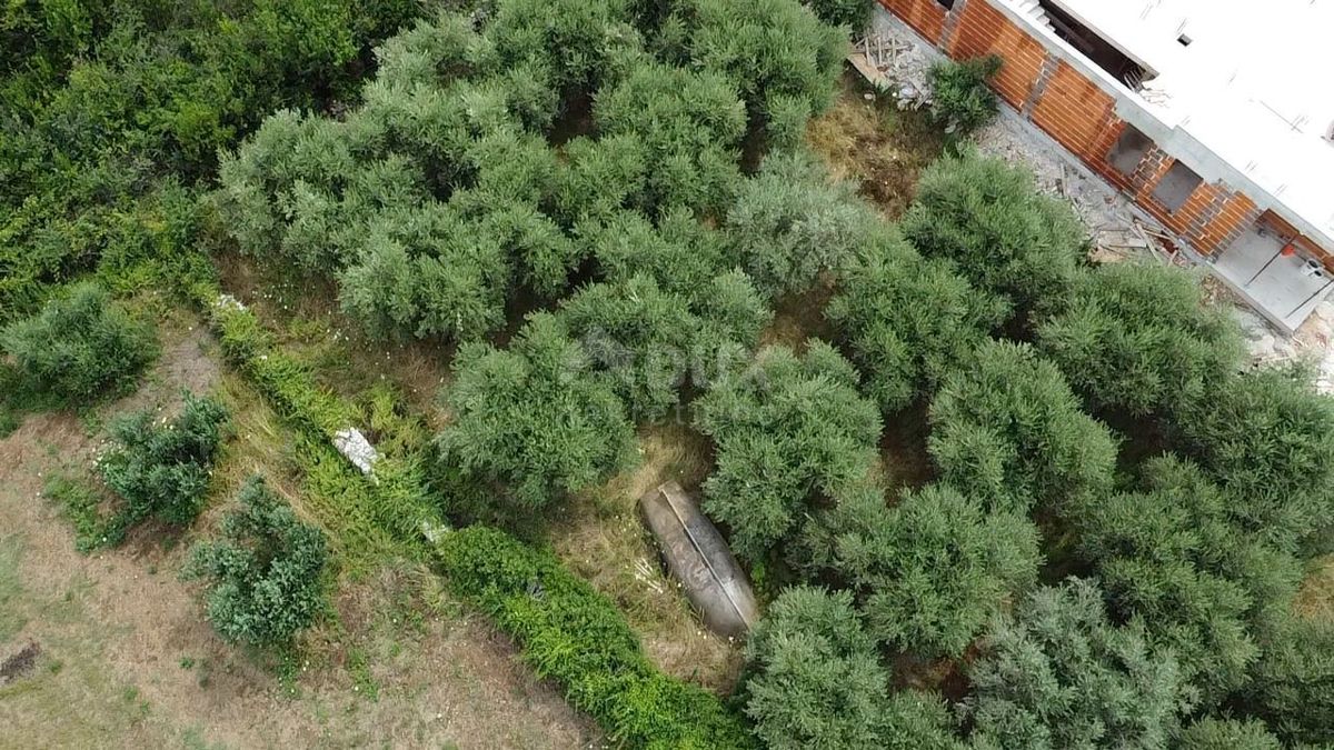 ISTRIA, PREMANTURA - Terreno edificabile con concessione per villa a 500 metri dal mare con vista!