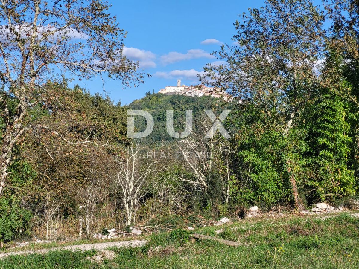 ISTRIA, MOTOVUN - Complesso di terreni edificabili e agricoli con vista su Montona