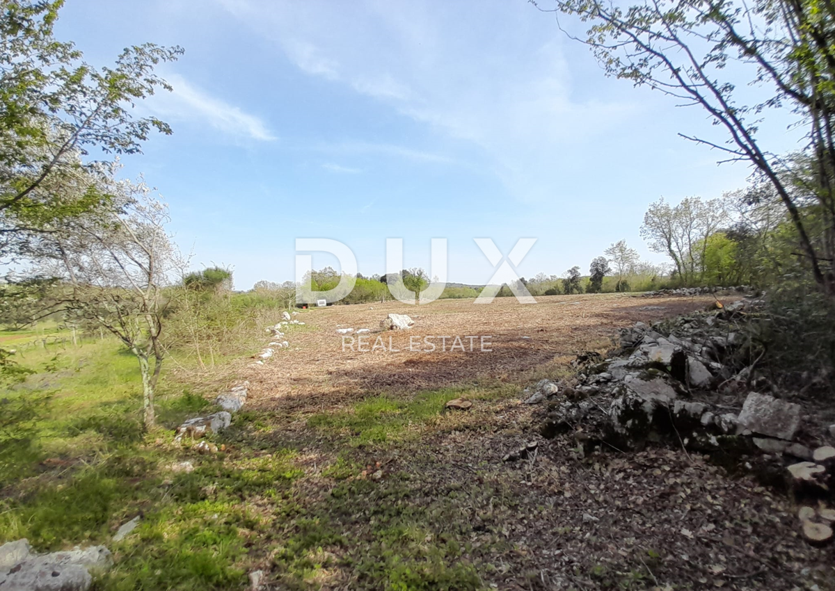 ISTRIA, ROVIGNO - Terreno agricolo a 200 metri dal mare