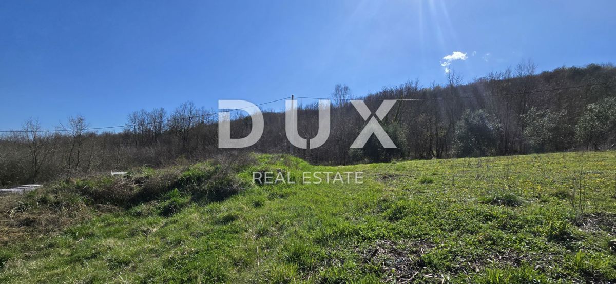 ISTRIA, PIĆAN - Villa di nuova costruzione situata in un ambiente naturale