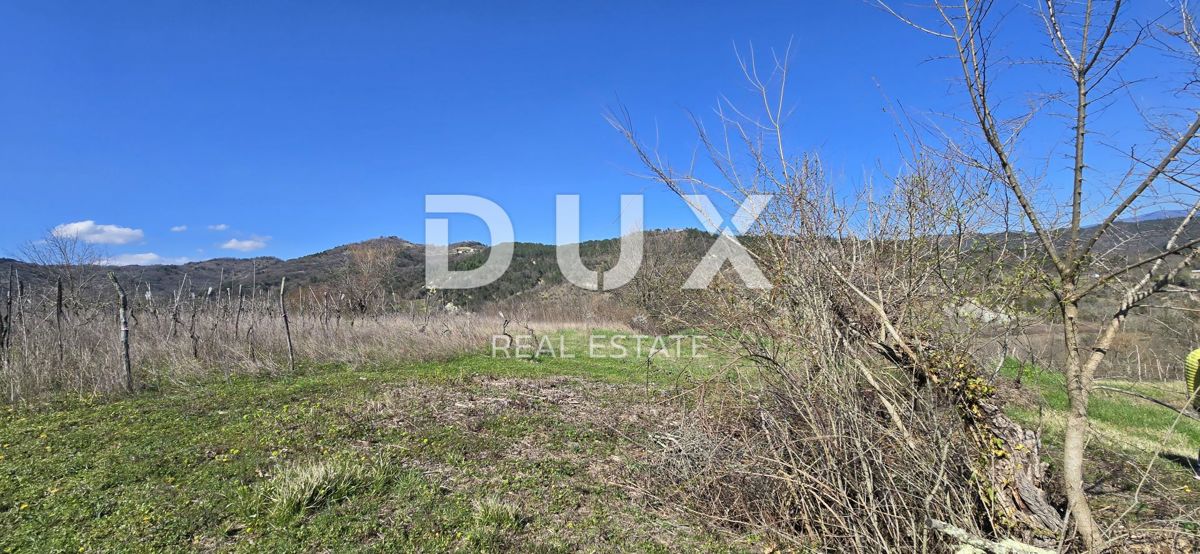ISTRIA, PIĆAN - Villa di nuova costruzione situata in un ambiente naturale