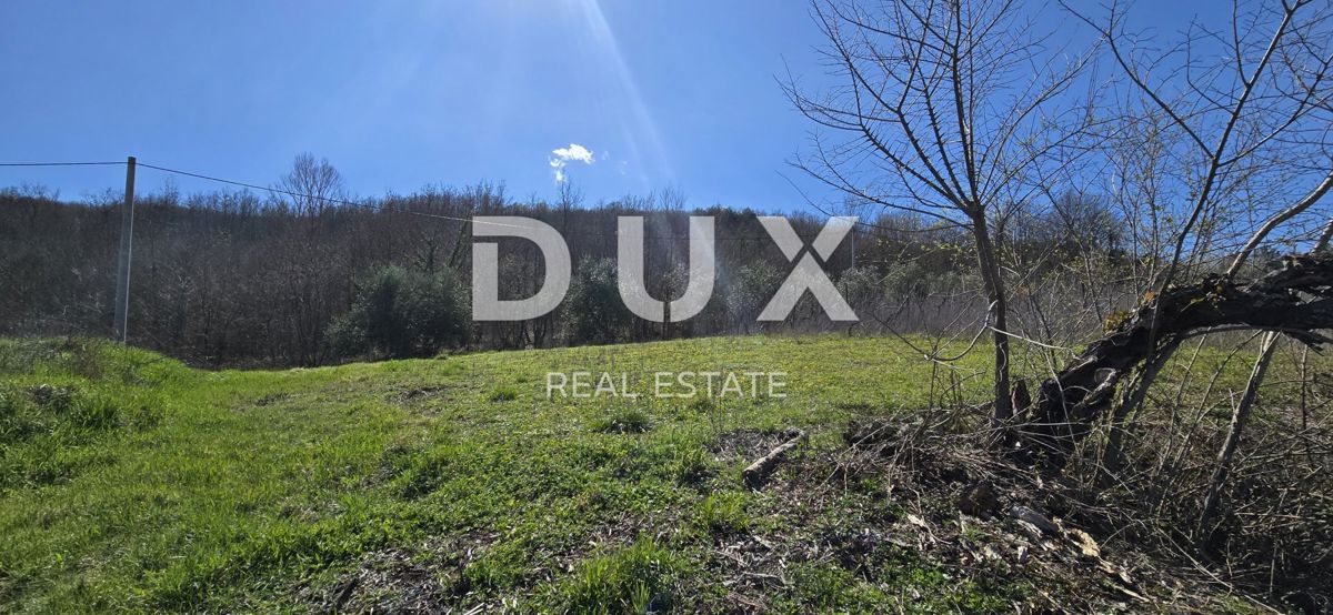 ISTRIA, PIĆAN - Villa di nuova costruzione situata in un ambiente naturale