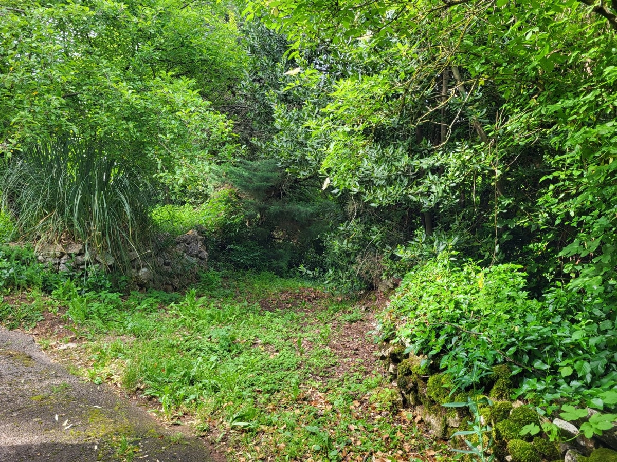 ISTRIA, PIĆAN - Due fabbricati in pietra con giardino