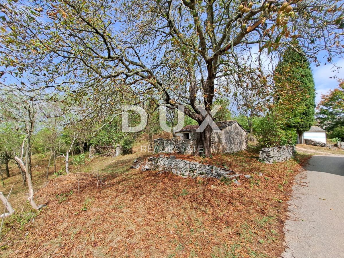 ISTRIA, GROŽNJAN, DINTORNI - casa antica da ristrutturare in ottima posizione