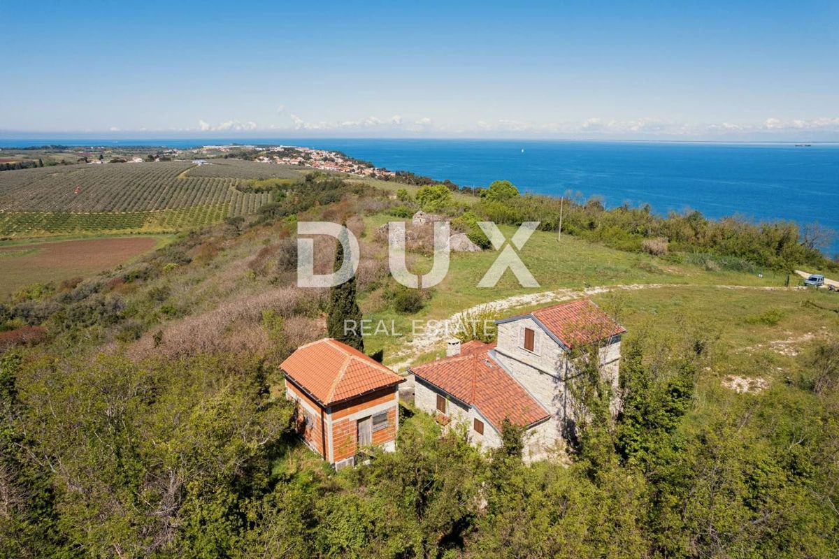 Casa Crveni Vrh, Umag, 200m2